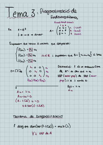 ACM-TEMA-3-Diagonalitzacio-en-Endomorfismes.pdf