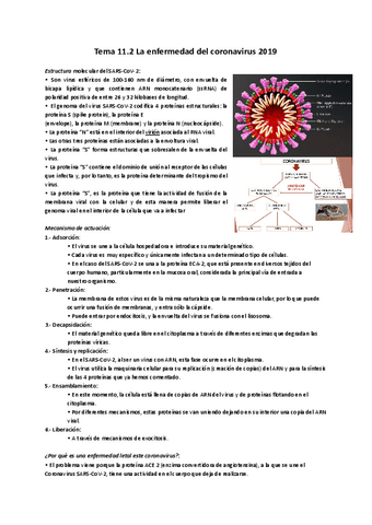 Tema-11.2-La-enfermedad-del-coronavirus.pdf