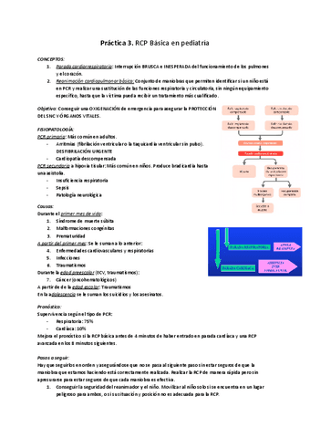 Practica-3.-RCP-Basica-en-pediatria.pdf