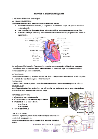 Practica-6.-Electrocardiografia.pdf