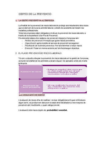 GESTIO-DE-LA-PREVENCIO.pdf
