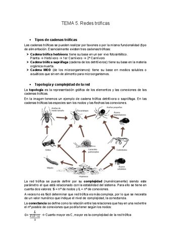 Temas-5-9.pdf