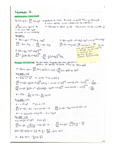 tema-3-calculo.pdf