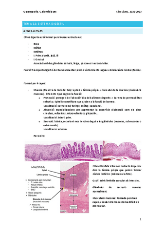 Tema-12-sistema-digestiu.pdf