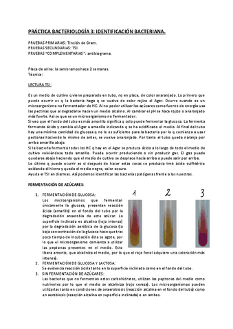 Practica-Micro-3.pdf