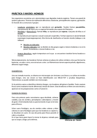 Practica-Micro-5.pdf