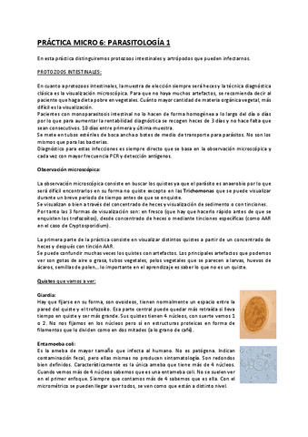 Practica-Micro-6.pdf