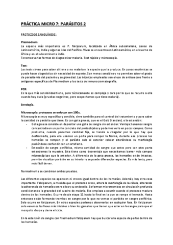 Practica-Micro-7.pdf