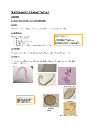 Practica-Micro-8.pdf
