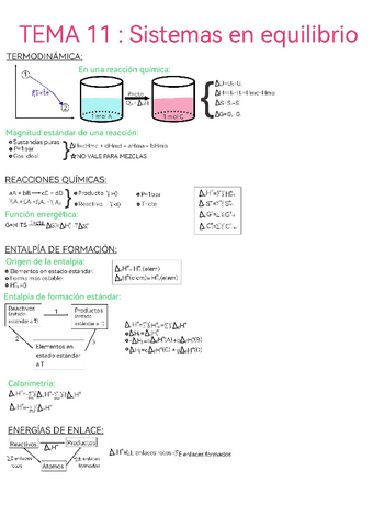 termodinámica - TEMA 11 - Apuntes y ejercicios.pdf