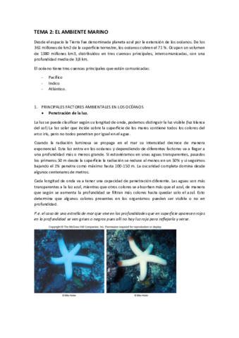 TEMA 2.pdf