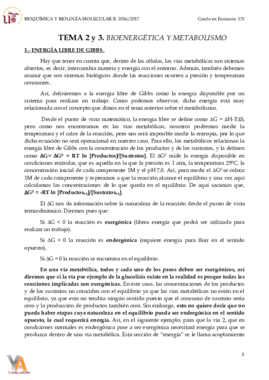 TEMA 2 y 3. BIONERGÉTICA Y METABOLISMO.pdf