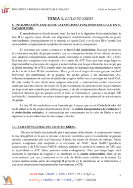 TEMA 4. CICLO DE KREBS.pdf