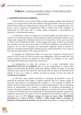 TEMA 5. CADENA RESPIRATORIA Y FOSFORILACIÓN OXIDATIVA.pdf