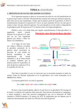 TEMA 6. VÍA GLUCOLÍTICA. glucólisis.pdf