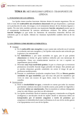 TEMA 10 METABOLISMO LIPÍDICO.pdf