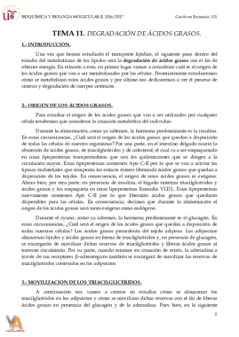 TEMA 11 DEGRADACIÓN DE ÁCIDOS GRASOS.pdf