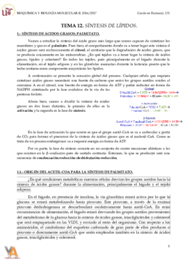 TEMA 12. SÍNTESIS DE ÁCIDOS GRASOS.pdf