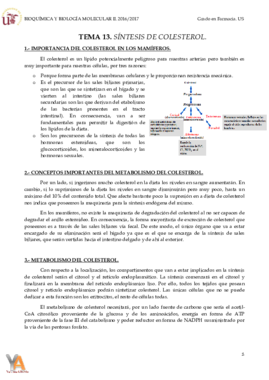 TEMA 13 SÍNTESIS DE COLESTEROL.pdf