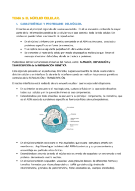 TEMA 3.- EL NÚCLEO (corregido).pdf