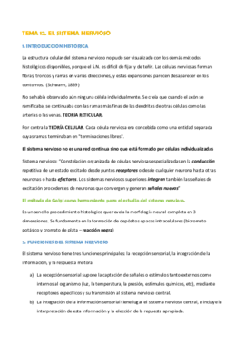 TEMA 12. EL SISTEMA NERVIOSO.pdf