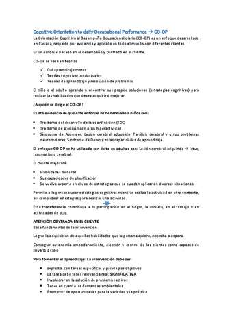 Cognitive-Orientation-to-daily-Occupational-Perfomance-.-RAQUEL.pdf