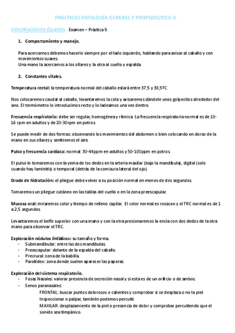 PRACTICAS-PROPE-II.pdf