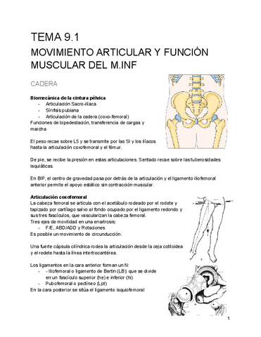 tema-9-13.pdf