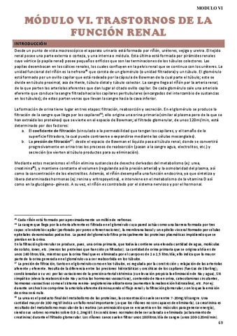 MÓDULO VI. Renal 2023.pdf