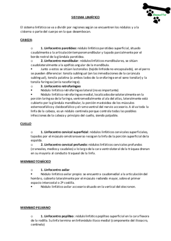 Sistema Linfático.pdf