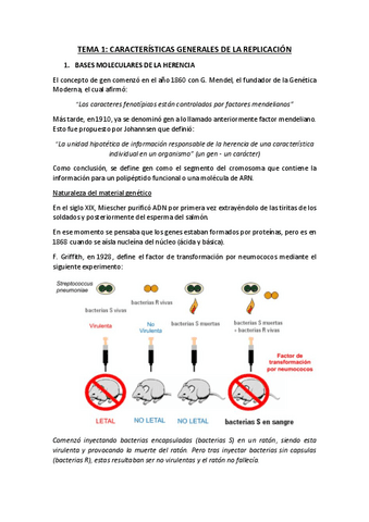 TEMA-1.pdf