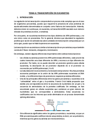 TEMA-6.pdf