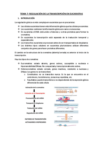 TEMA-7.pdf