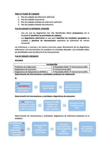 Tema-5.4-Planes-de-cuidados.pdf