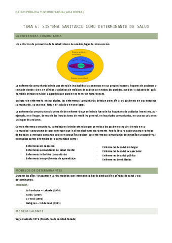 TEMA-6-SALUD-PUBLICA.pdf
