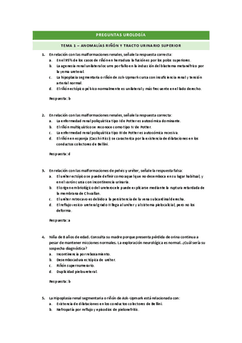 PREGUNTAS-TEMA-1.pdf