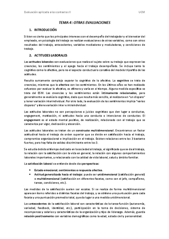 Tema-4-Otras-evaluaciones.pdf