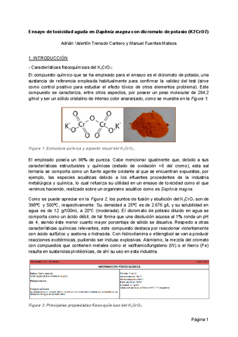 Informe-Practicas-Bioetica-Toxicidad-en-daphnias.pdf
