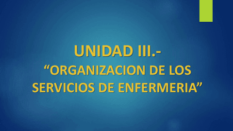 Trabajo-organizacion-enfermeria.pdf