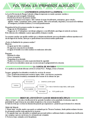 FOL tema 13.pdf