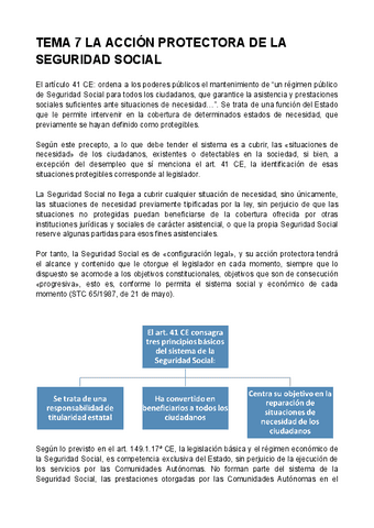 Tema-7-La-accion-protectora-de-la-Seguridad-Social.pdf