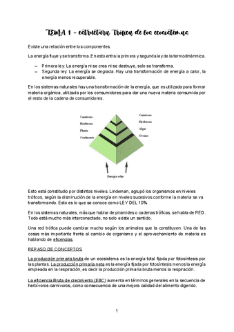 TEMA-1-ECO-II.pdf