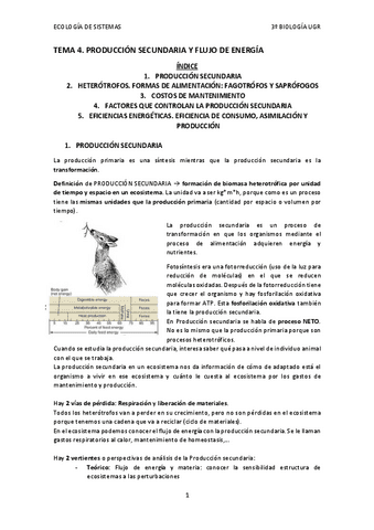 TEMA-4.-PRODUCCION-SECUNDARIA.pdf