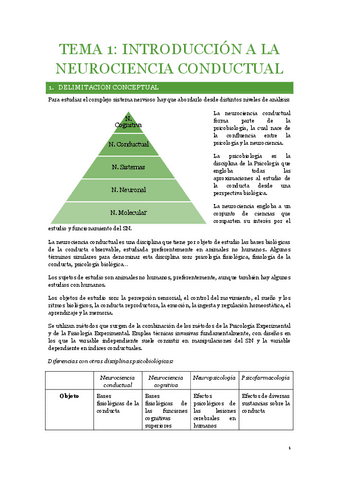 apuntes-neuro-t1-t5.pdf