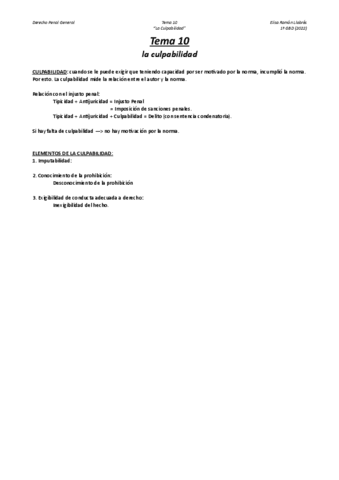 Tema-10-Penal-II.pdf