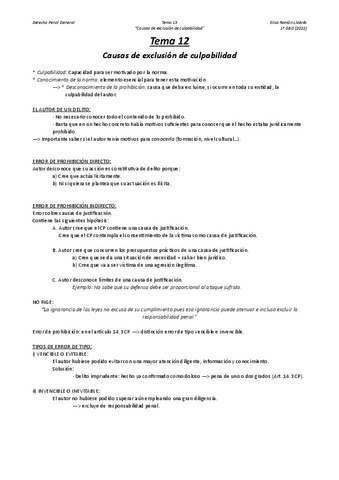 Tema-12-Causas-de-exculpacion-penal-Penal-II.pdf