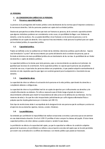 Civil I Temas 1-21(Resumen mariola).pdf
