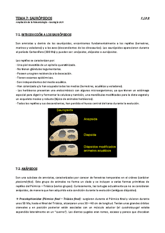 tema-7-completo.pdf