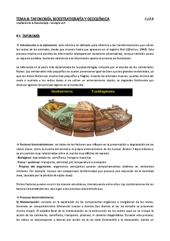 tema-8-completo.pdf