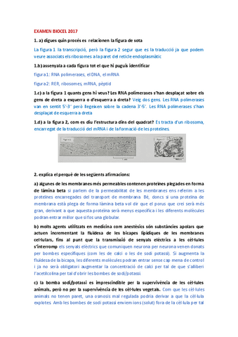 EXAMEN-BIOCEL.pdf